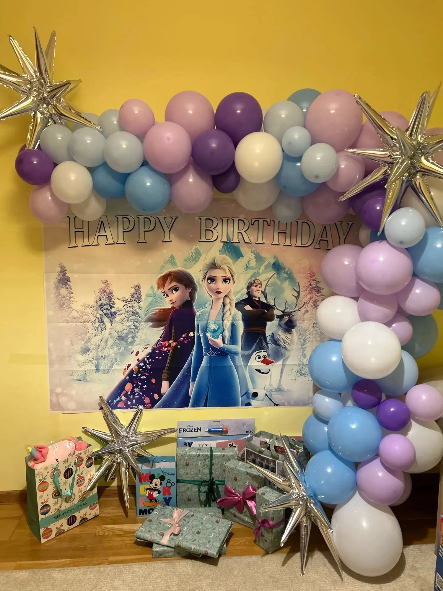 Disney Elsa Backdrop Banner for Girl Frozen Elsa Princess Birthday Party Supplies Baby Shower Background Photography Custom