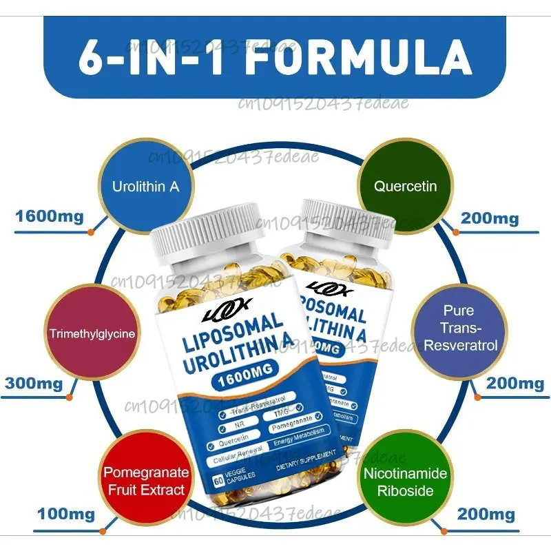 

Liposomal Urolithin A Supplement 1600mg - Promote Muscle Strength and Energy Production 60 Softgels