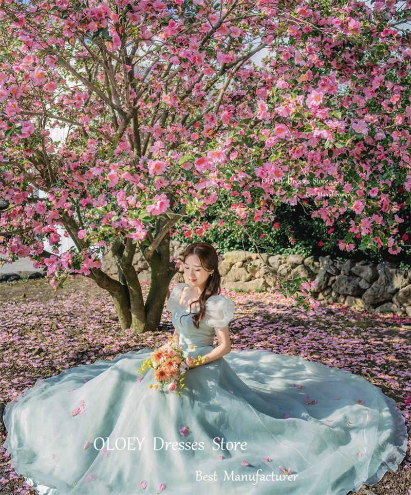 

OLOEY Fairy Sage Tulle A Line Prom Dresses Korea Lady Short Sleeves Sweetheart Sweep Train Evening gowns Bride Photoshoot