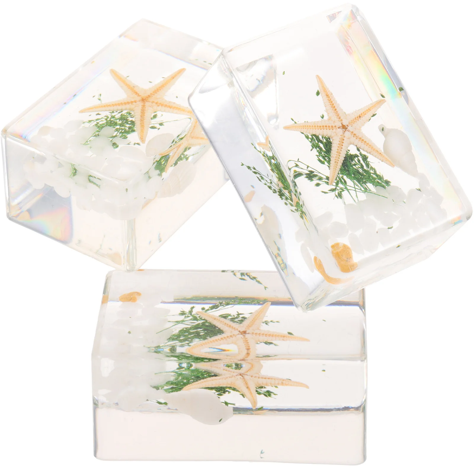 3 قطعة عينة نجمة البحر الراتنج زخرفة سطح المكتب المحيط الحيوانات الديكور ديكور المنزل مكتب الحرفية هدية