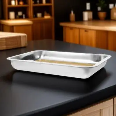 

Dissection Tray Stainless Steel Anatomy Plate Wax Tray Metal Dissecting Instrument Safe Practical Lab Experiment Use