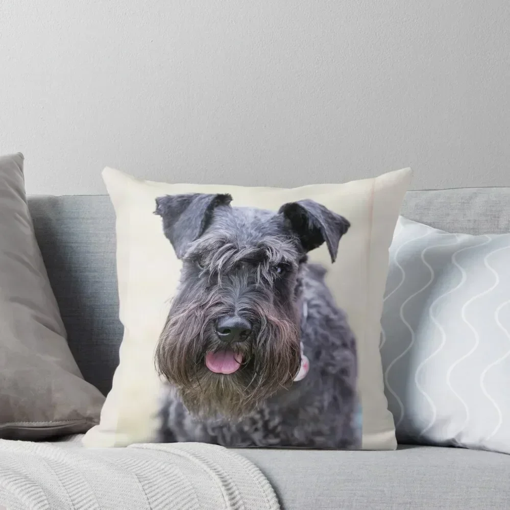 

Black Miniature Schnauzer Throw Pillow Pillowcases Marble Cushion Cover Pillow Case Decorative Cushions For Living Room pillow