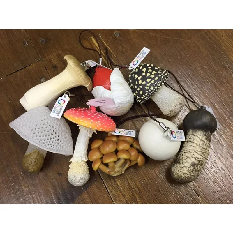 Juguete japonés Kitan Club Gashapon NTC, hongo ilustrado, simulación de comida, modelo en miniatura, regalo, adorno para coleccionar