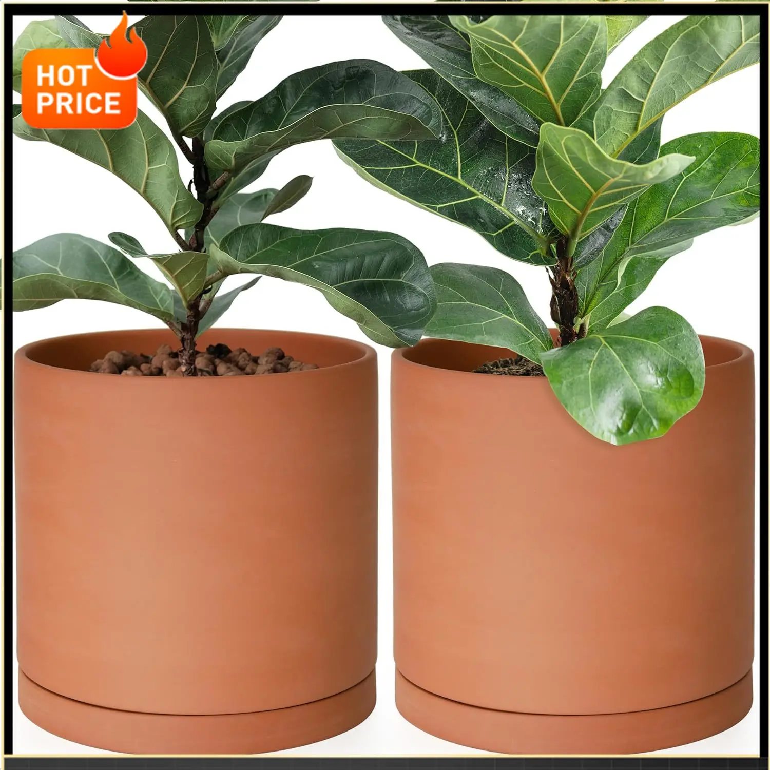 

Бестселлер: Кашпо D'vine Dev Large, 10 дюймов, терракотовое, с дренажным отверстием и поддоном, круглое цилиндрическое, для комнатных растений