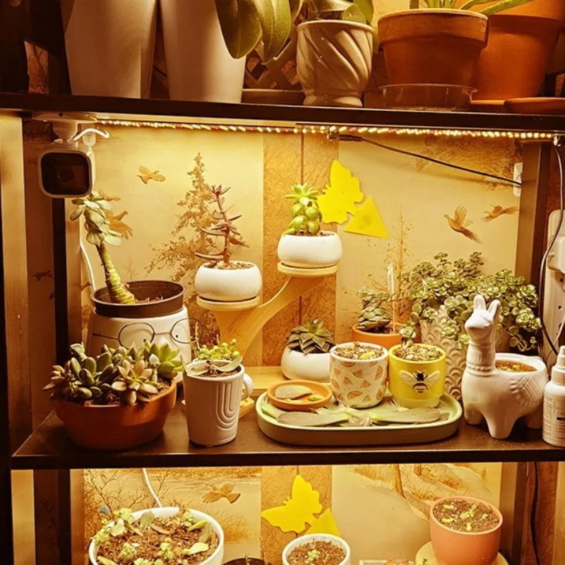 LED Quantum Board USB 5V Plant Grow Light Full Spectrum Indoor Hydroponic Cultivation Lamp with Timer for Succulents Seedlings