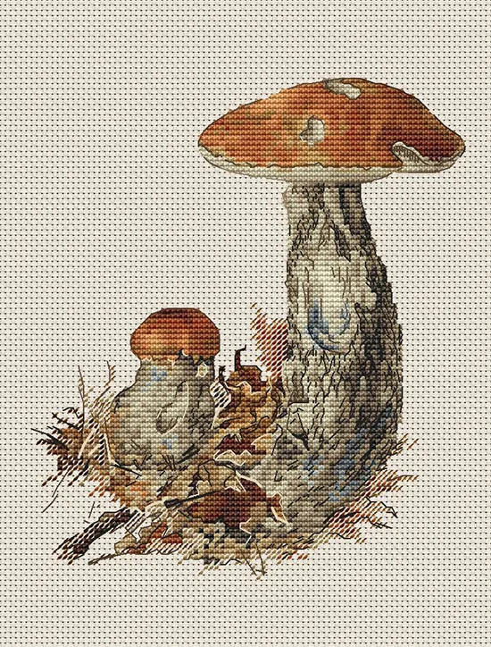 Mushroom 25-27  cross stitch kit aida 14ct   count print canvas stitches embroidery DIY handmade needlework