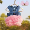 Dress and Clips 1
