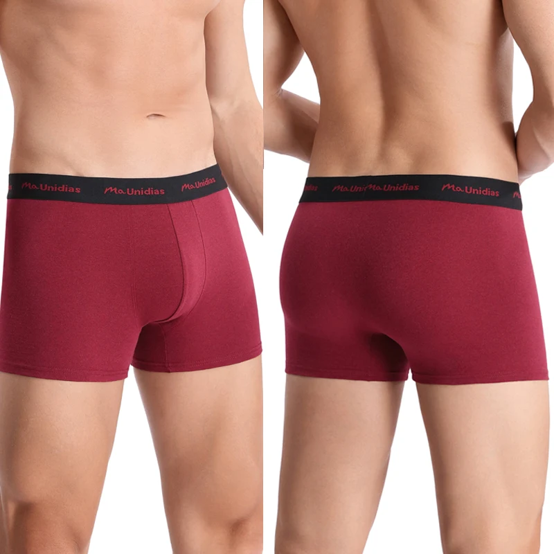 5 قطعة الملاكمين بلون الرجال السروال القطن الرجال سراويل مثير رسالة شريط مرن الملابس الداخلية للرجل سراويل بوكسر