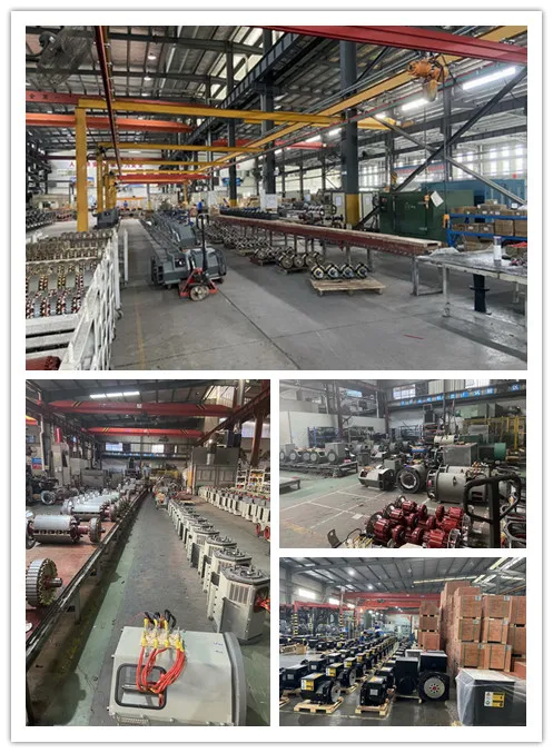 3 Phase 110V 220V 20kw 40kw 100kw 120kw Leroy Somer Alternator For Dieel Generator