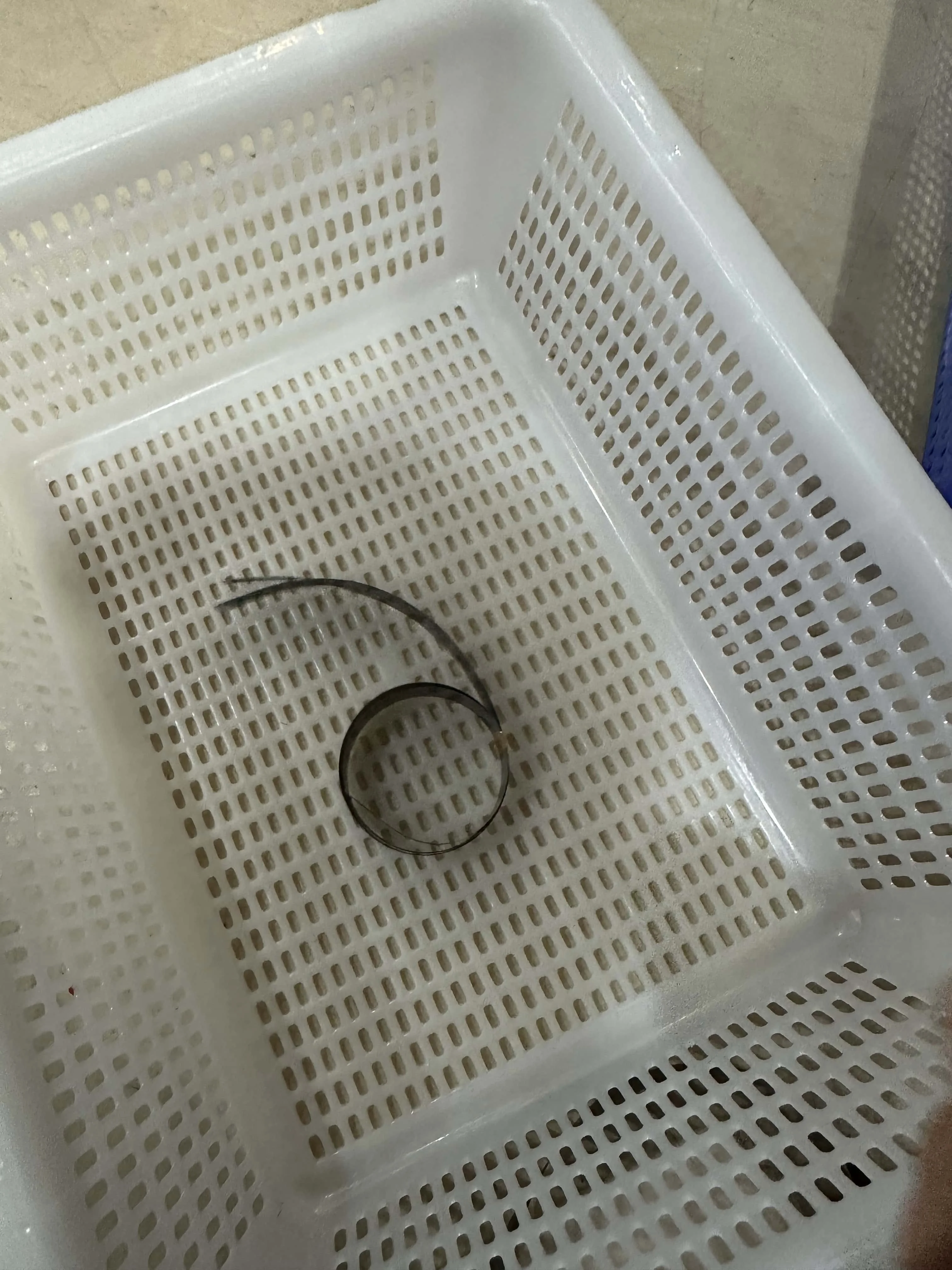 

20X CE847-60106 Scanner Scan Cable for HP M1130 M1132 M1136 M1210 M1212 M1213 M1216 M1217 M1005 M1120 M1522 M1536 200 M251 M276