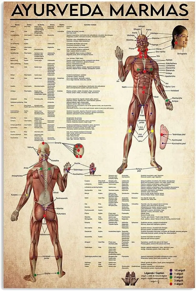 LALLRI Ayurveda Marmas Panneaux Métalliques Rétro Affiches de Connaissance Médicale Infographies d'Apprentissage Plaques Décoratives Murales pour Maison, Club, Bureau