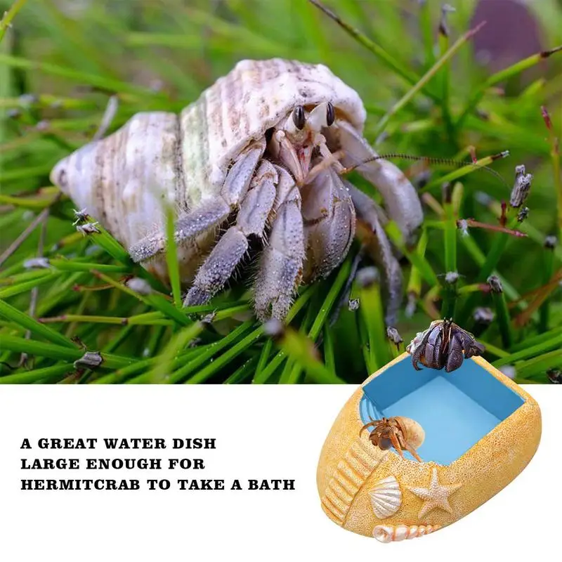 Hermit Crab Water Pool Beach Style Hermit Crab Water Bowl Hermit Crab Accessories Resin Water Food Dish Bathing Pool Reptile