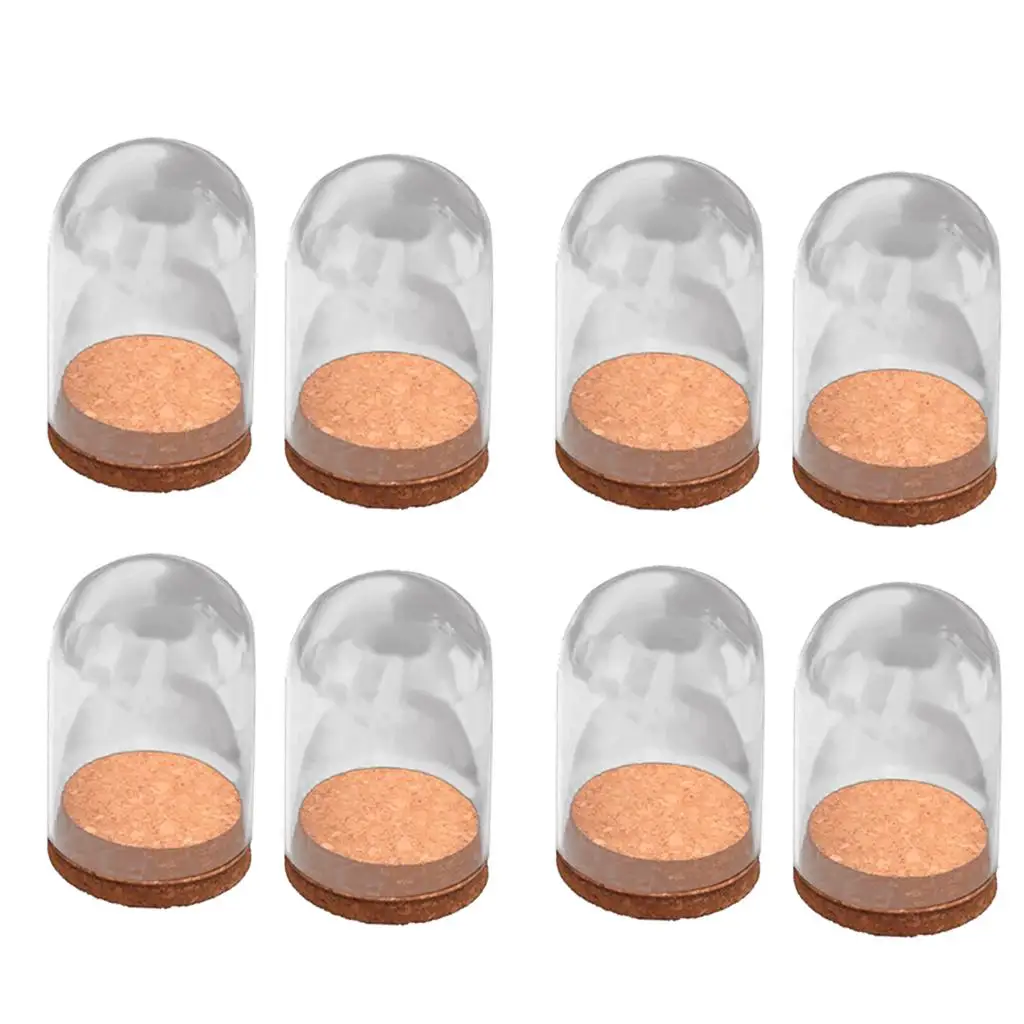 Mini Dome Cover Transparent Glass Vase Cloche Bottle Art Design for Decoration of Hotel or Coffee Stop