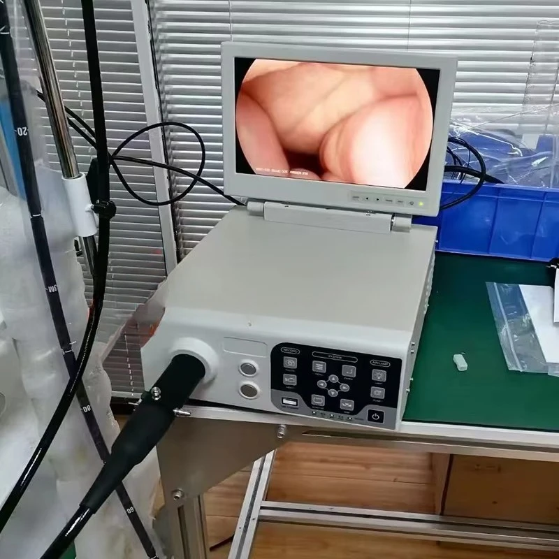 Large animal veterinary gastroscope 3 meters flexible video endoscope, suitable for cattle, horse and sheep farms