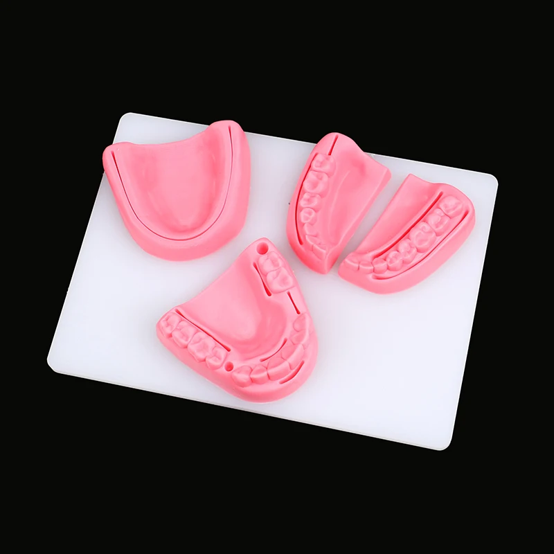 4-teiliges Dental-Simulationsmodell für Mundnaht, Zahnfleisch-Naht-Trainingsausrüstung – Detail 9