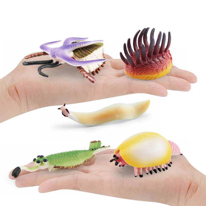 Simulation Ancient Marine Animals Trefoil Margari Wiwaxia Opabinia Pikaia Shield Worm Model Action Figures For Kid Education Toy