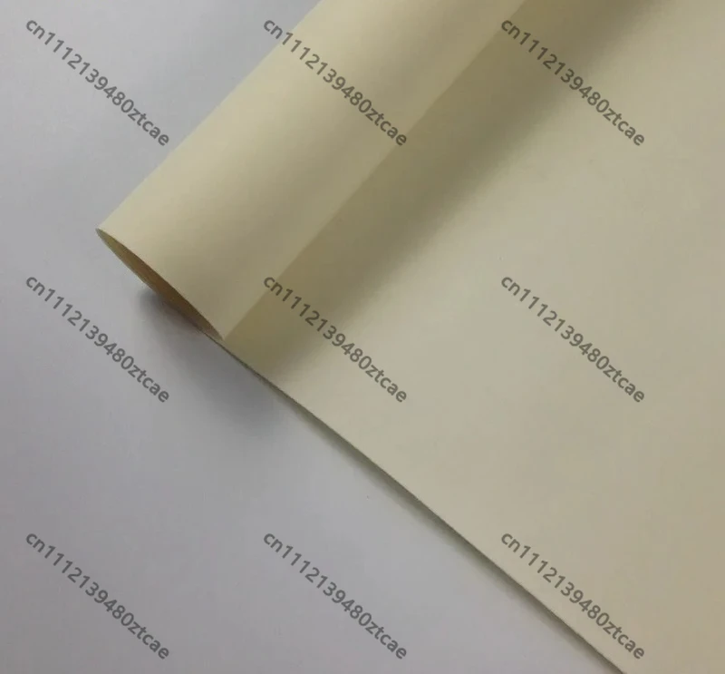 New Strong Base AnionExchangeMembraneLowResistanceHighSelectivity Ion Exchange MembraneWater Treatment Electrodialysis Fuel Cell
