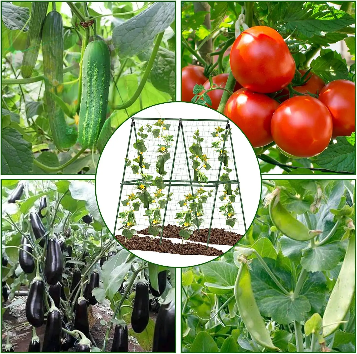 

Cucumber Trellis A Plant Frame Greenhouse Plants Climbing Bracket with Net Detachable Vegetables Trellis For Growing