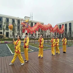 7meters DRAGON DANCE  Costume CHINESE Spring Day Party Decoration National Culture Silk Folk Festival Celebration Stage Props