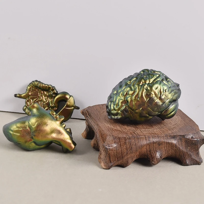 Human Organs Shape Silicone Molds Heart Brain Resin Epoxy Mold Cupcake