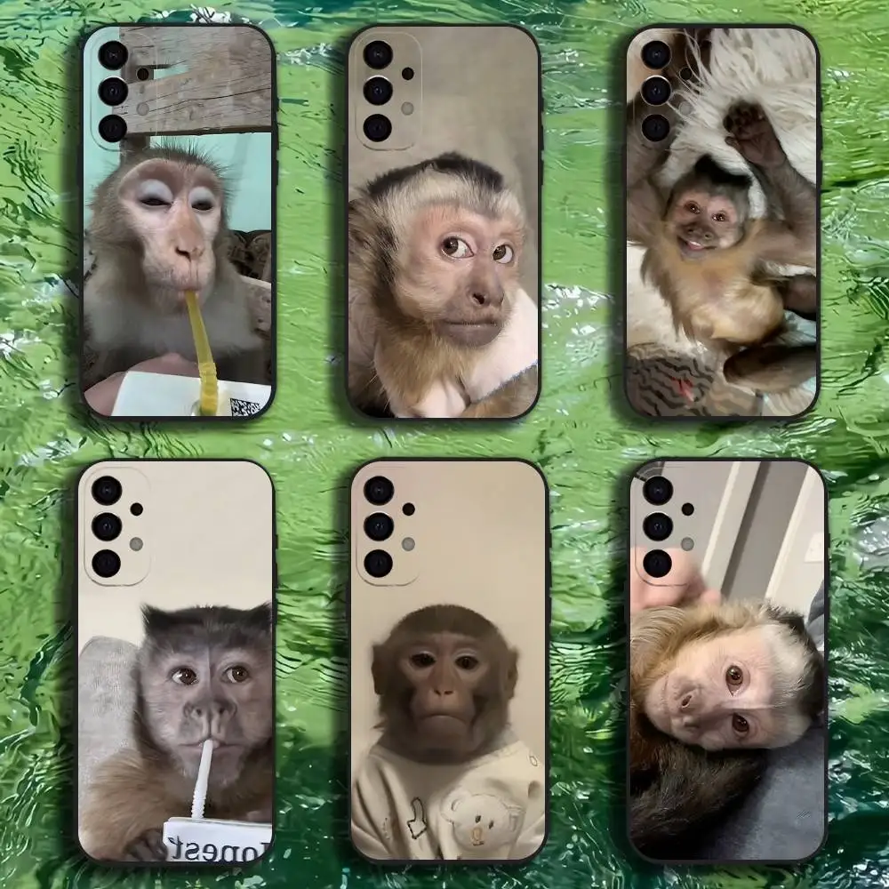 

Monkey Sipping C-Caprisun Phone Case For Samsung S25,S24,S21,S22,S23,S30,Ultra,S20,Plus,Fe,Lite,Note,10,9,5G Black Cover