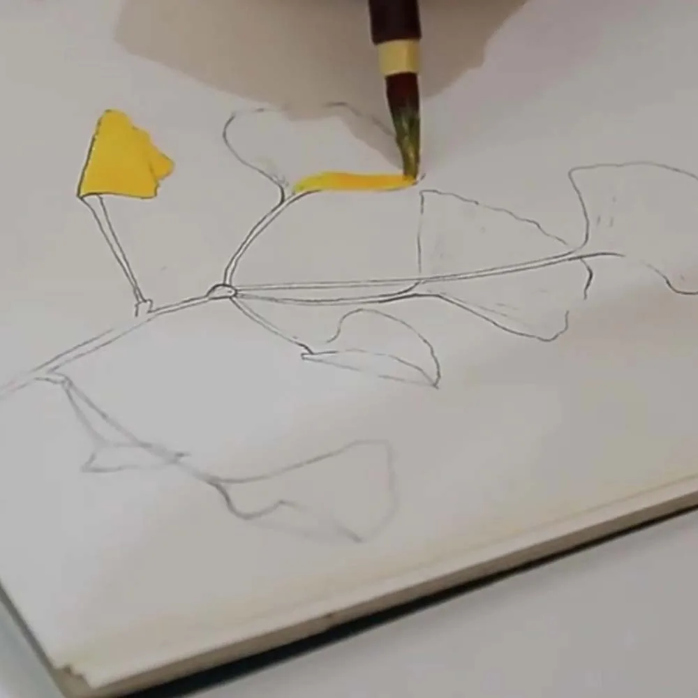 2 шт., китайская кисть с мягкими волосами, имитация кроличьей шерсти, легкая ручка для рисования для китайского пластика, 0,5 см, ручка с крючком, акварель