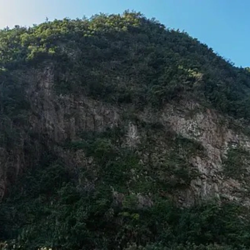 

GEPRC SPEEDX2 1303.5 5500KV Motor Suitable for 2″ Cinewhoop FPV Drones Cinelog20 for RC FPV Quadcopter Freestyle Drone