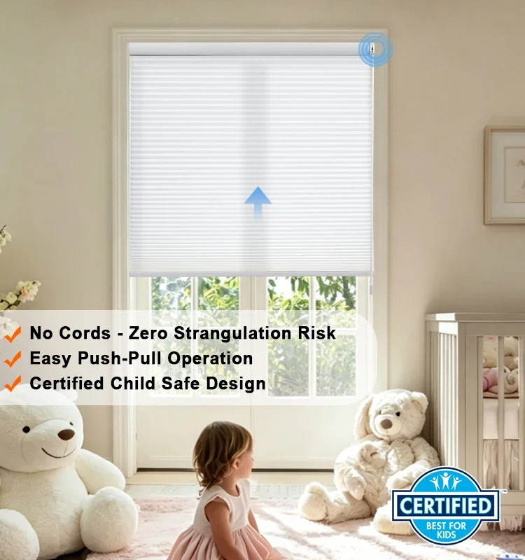 Motorized Zebra Roller Blinds with Remote Control, Electric Light Filtering Privacy Window Shades for Home Office Interior Use