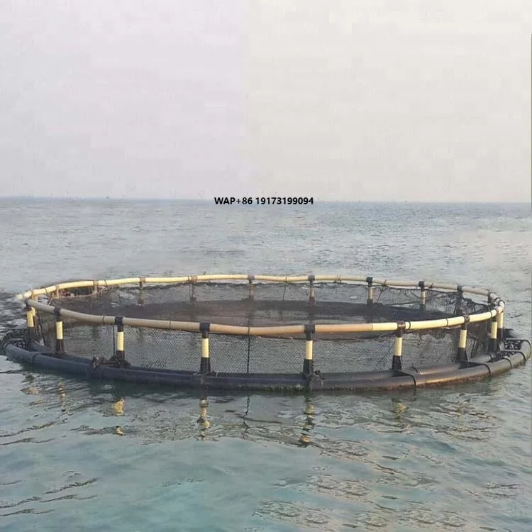 HDPE Farm 30-160m Fish Cage Perimeter Sea Bass Fish Farming Cage for Pisciculture