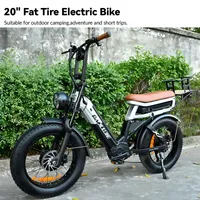 Electric Bike BAOLUJIE DP-2033 Adult Snow Mountain 20 Inch Fat Tire 2000W48V30Ah Hydraulic Brake Electric Bike