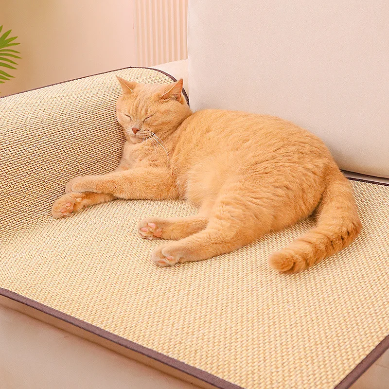 Couch Cat Scratcher Sofa Protection Artifact Cat Supplies Cat Scratch Board Pad Cat Scratching Post Send Nail Fixed Cat Toys