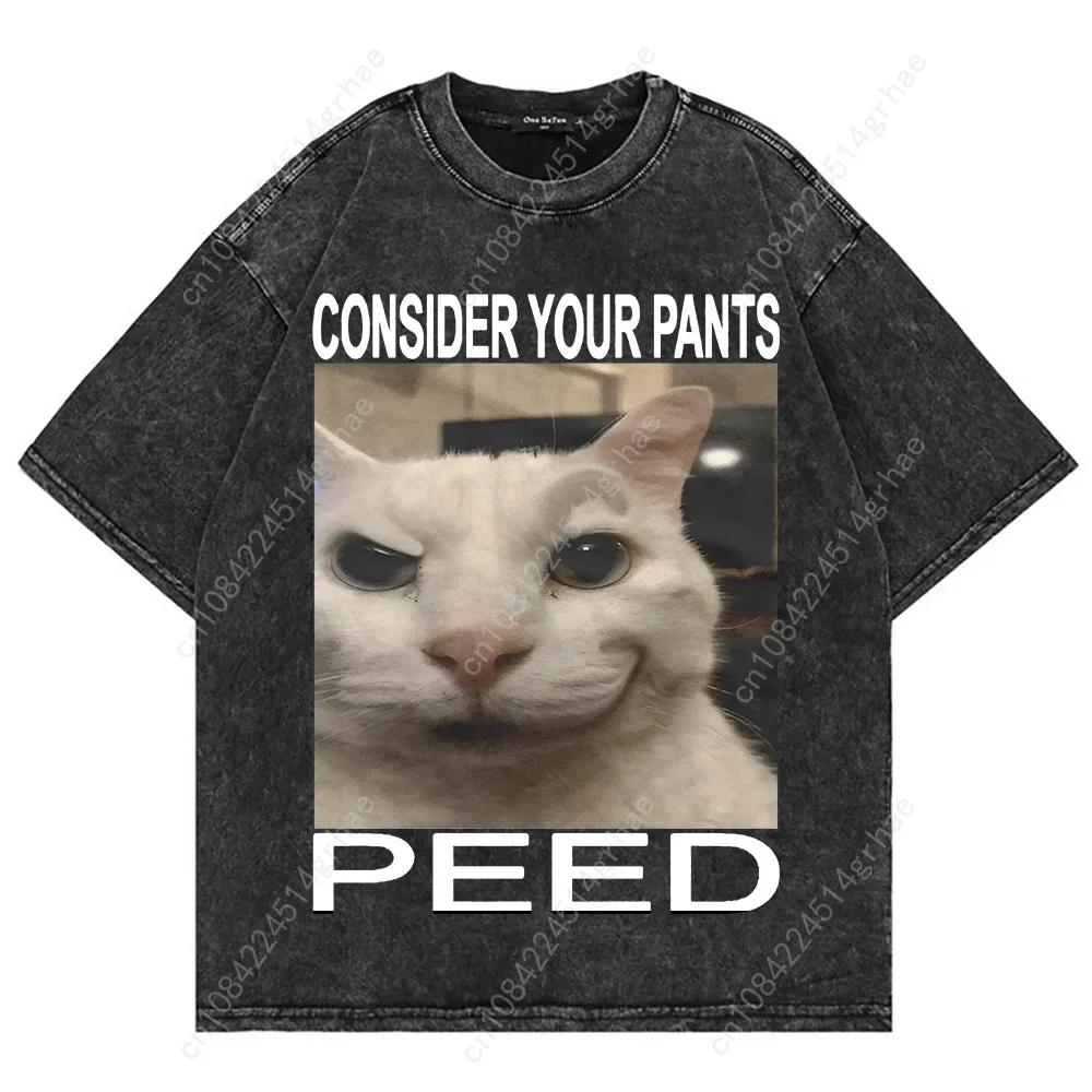 100% Cotton Vintage Washed Y2k Funny Cat Meme T Shirt Fashion Men/Women Aesthetic Graphic Oversize Loose Acid Wash Tees Shirts view 6