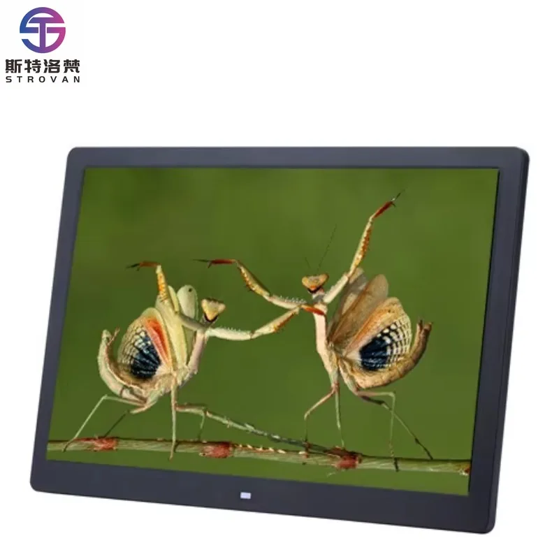 

Multi Function Electronic 12 Inch Digital Photo Frame Photo Video Picture Frame