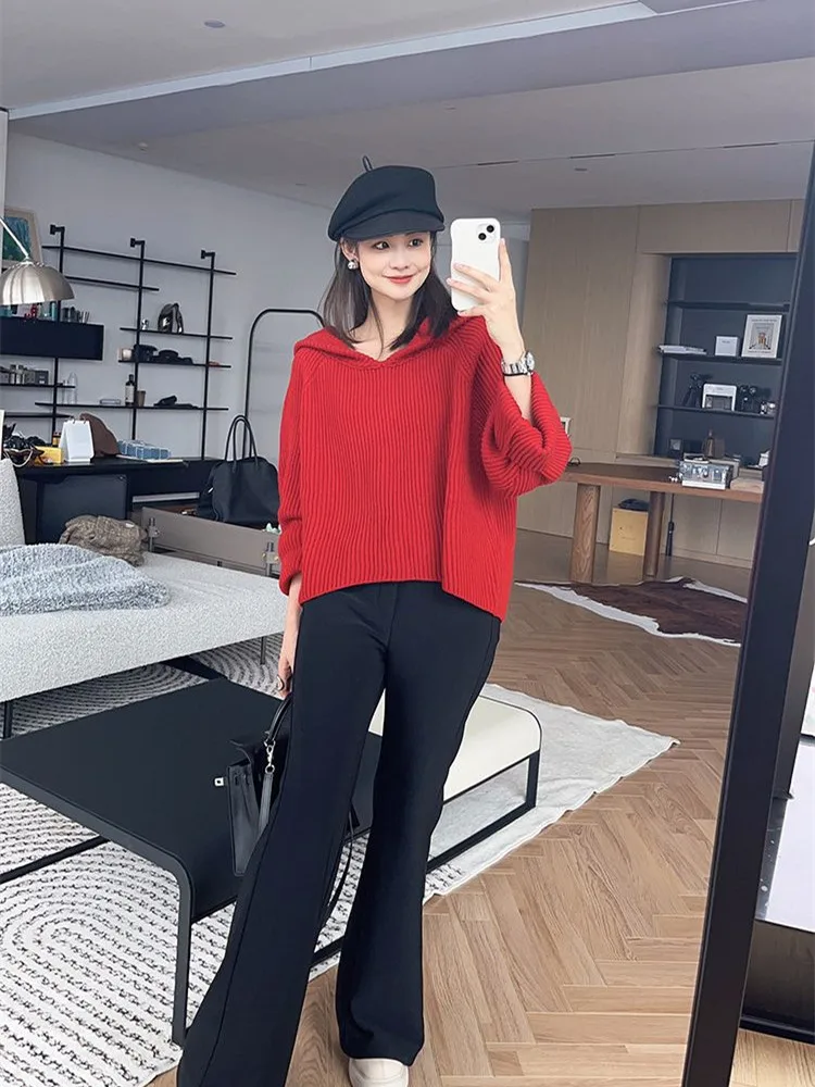 Korean style Long Sleeve Sweater Autumn Winter New Hooede Womens Clothing Pullover Tops Warm Fashion Women Knitwears