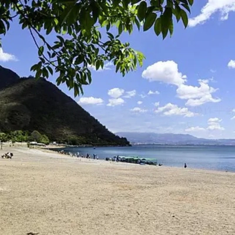 

JX Сервопривод PDI-HV6216MG 15 кг Цифровой водонепроницаемый сервопривод с высоким крутящим моментом Металлическая шестерня Модель самолета RC Автомобили с дистанционным управлением