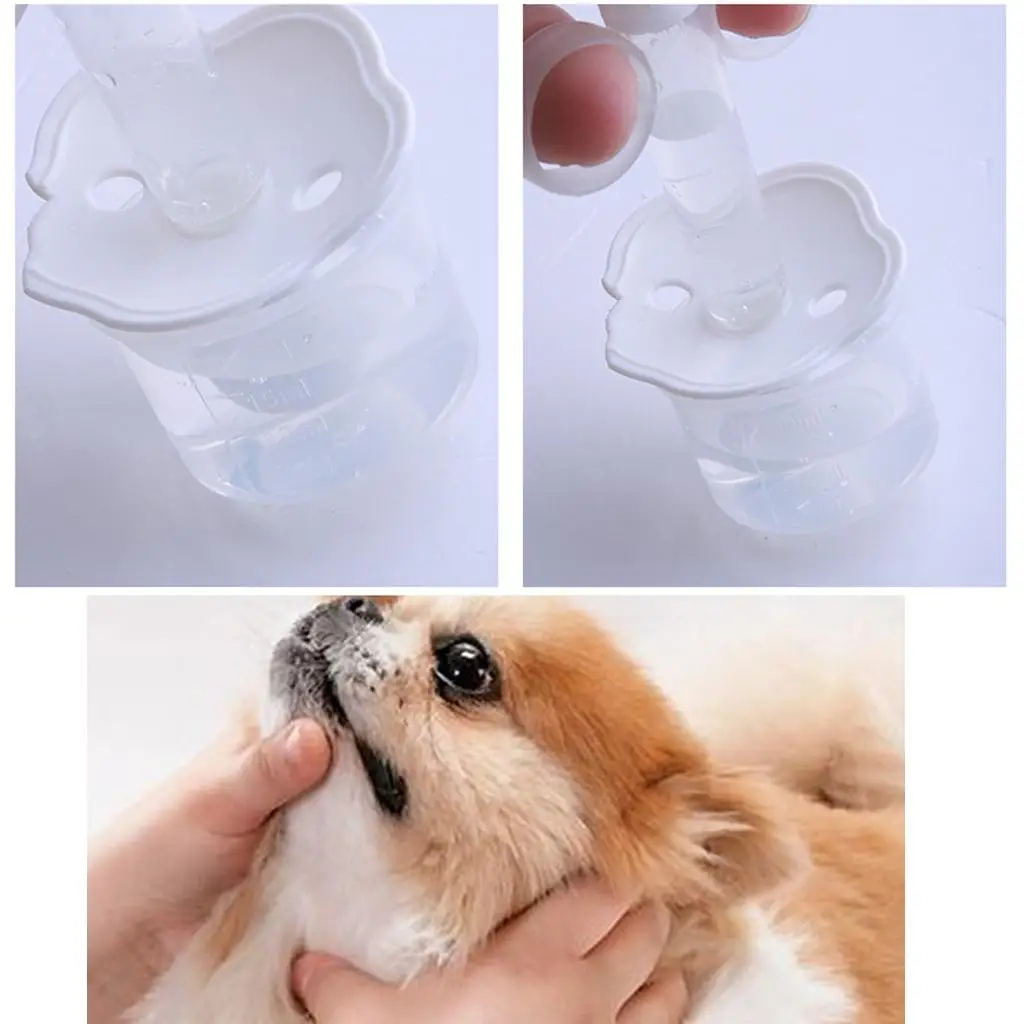 2x Kitten Hamster Rabbit Milk Nursing Bottles Set Feeding Kit