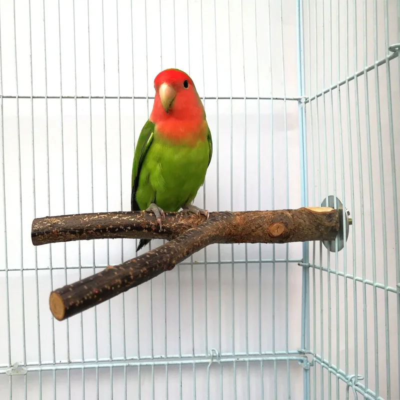 Bird Toys Natural Log Tree Fork Birdcage Bifurcated Station Stand Parrots Chew Toy Standing Pole Durable Bird Accessories