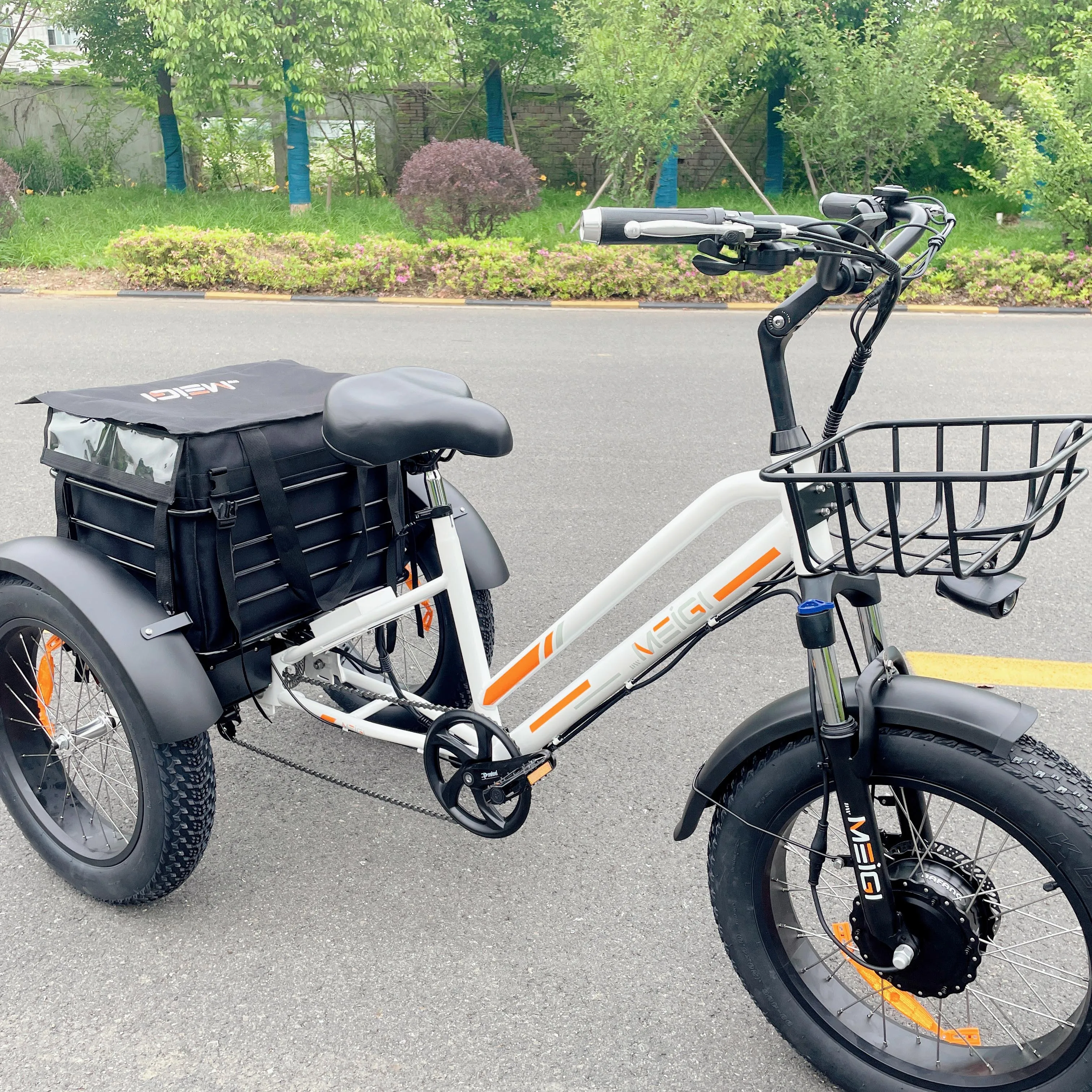 

warehouse stock 3wheel electric tricycle Etrike with Large front and rear basket 750W 18.2 AH High power motor etrike custom