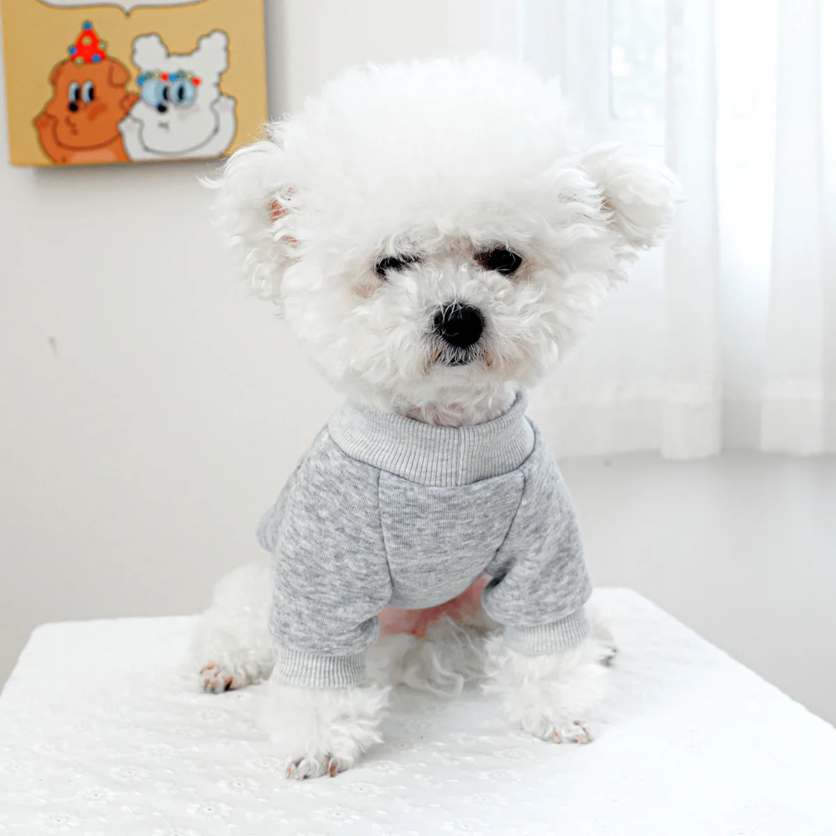 1PC Pet Clothing Spring and Autumn Gray Love and Peace Round Neck Shirt Suitable for Small and Medium sized Dogs