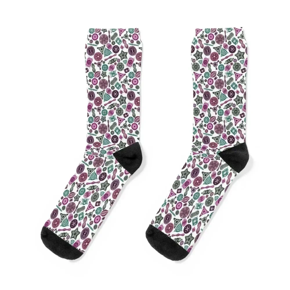 Ernst Haeckel Teal Diatoms Tossed in Pinks and Greens Socks new in's bright garter Socks Women's Men's