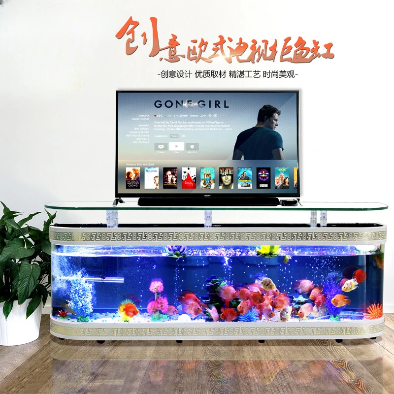 European TV cabinet fish tank aquarium creative eco-glass living room medium-sized large water-free lazy floor tank