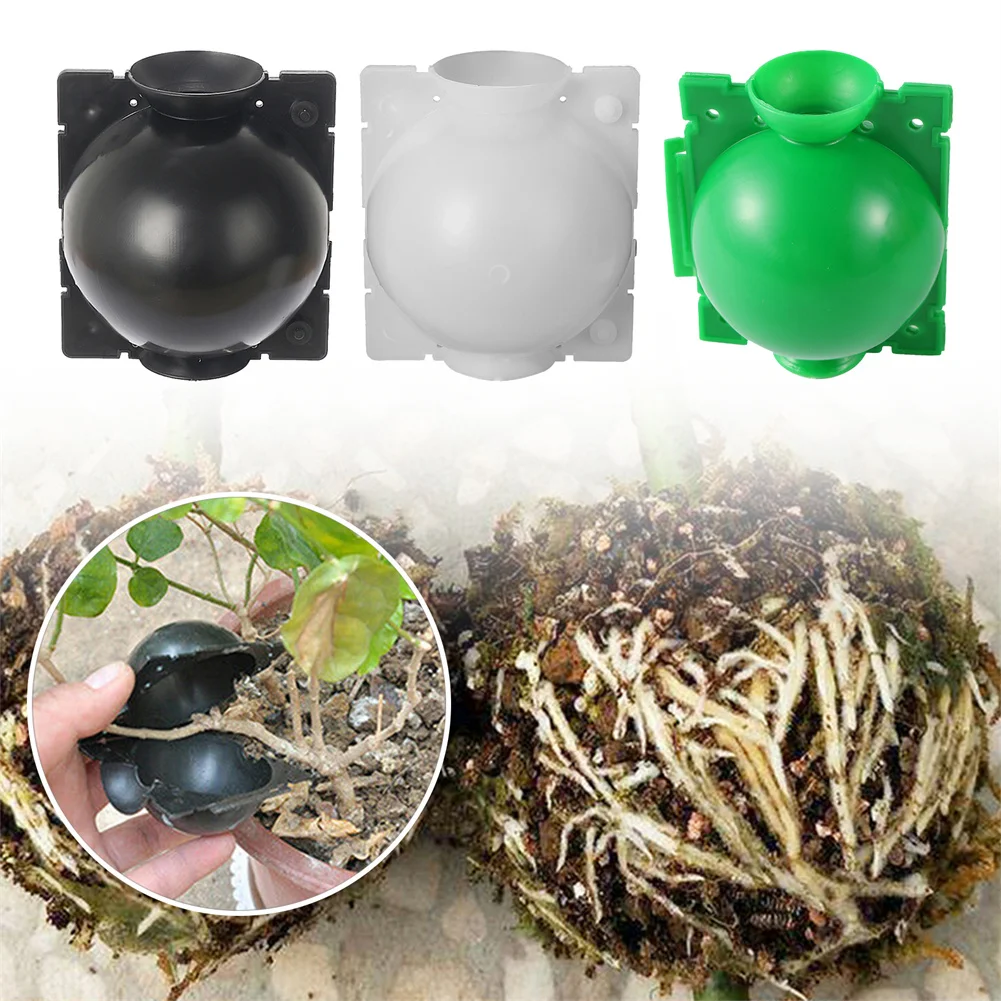 5/10PCS Plant Rooting Ball Reusable Root Growing Box Propagation Root Controller For Indoor Outdoor Plants Asexual Reproduction