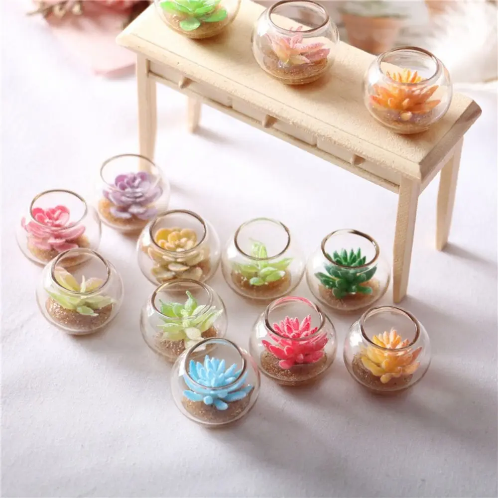 Trendy Miniature 1:12 Dollhouse Potted Glass Vase Lifelike Succulent Model Colorful Micro Landscape Decoration
