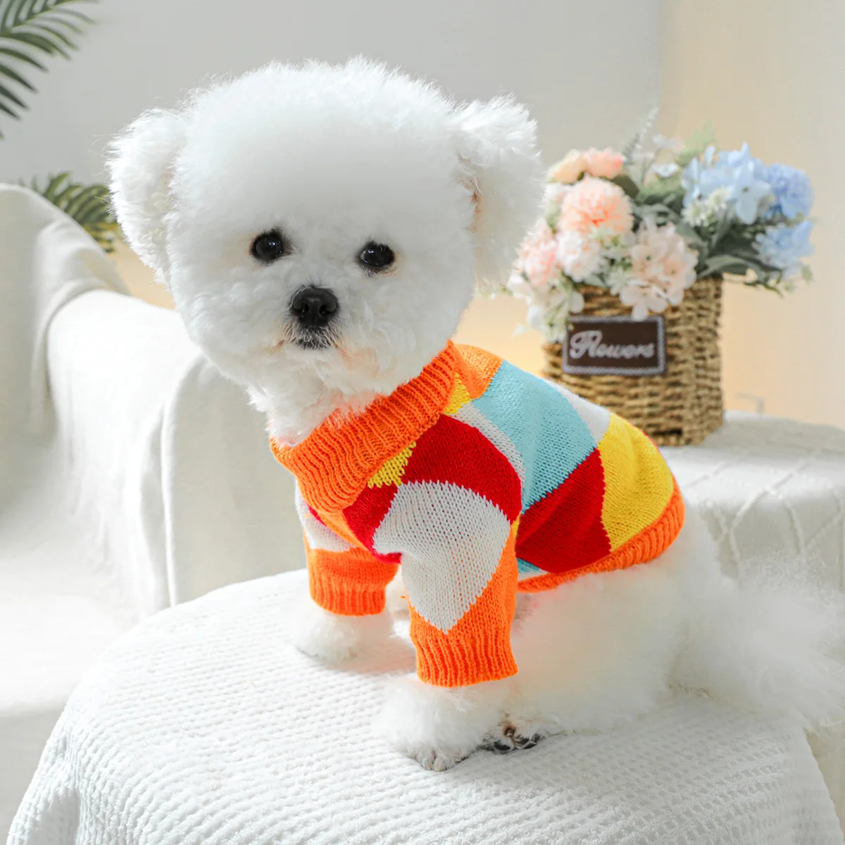 1PC pet clothing Dog Spring and Autumn Counter -Elastic Rainbow Shooting Sweat is suitable for small and medium -sized dogs