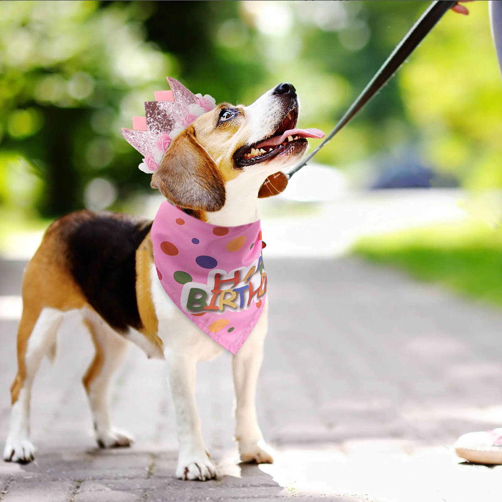 

1 Set Pet Birthday Bandana Dress Hat Dog Costume Crown Small Dog Puppy Kitten Party Supplies Costume Decoration Outfit Gift