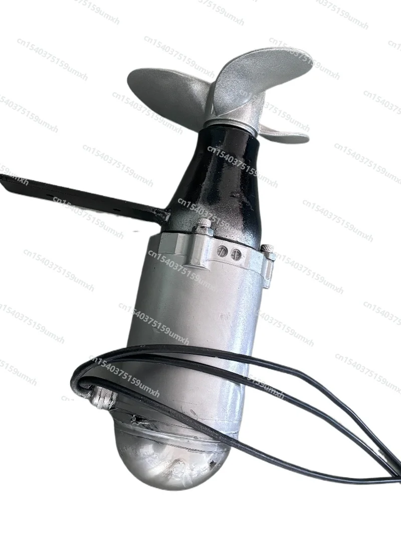 12V 24V 48V 2500W Brushless Underwater Propeller Electric Motor Fish Boat Brushless Sea Scooter Individual Motor