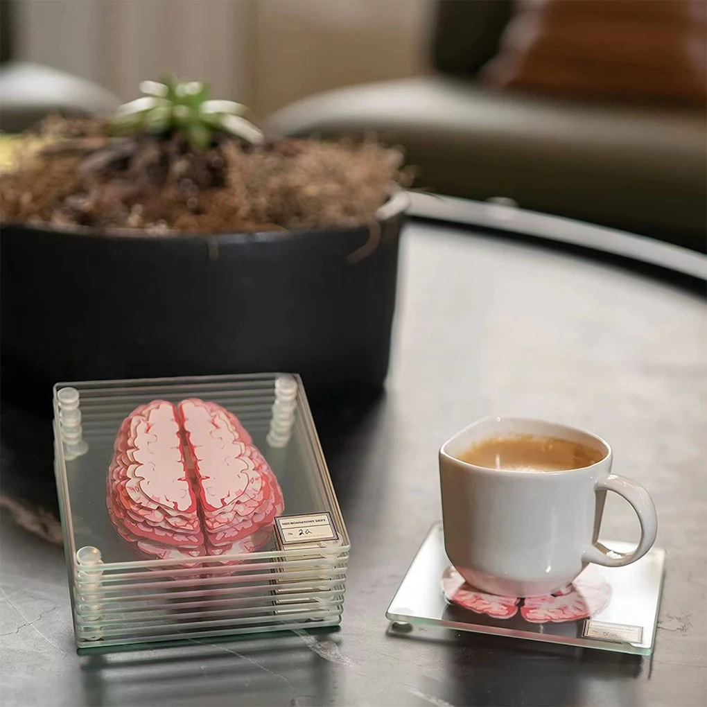 

10PCS Coasters Acrylic Organ Brain Specimen Table Coaster Easy to Clean Cup Mat Family Bar Decoration Office Cups