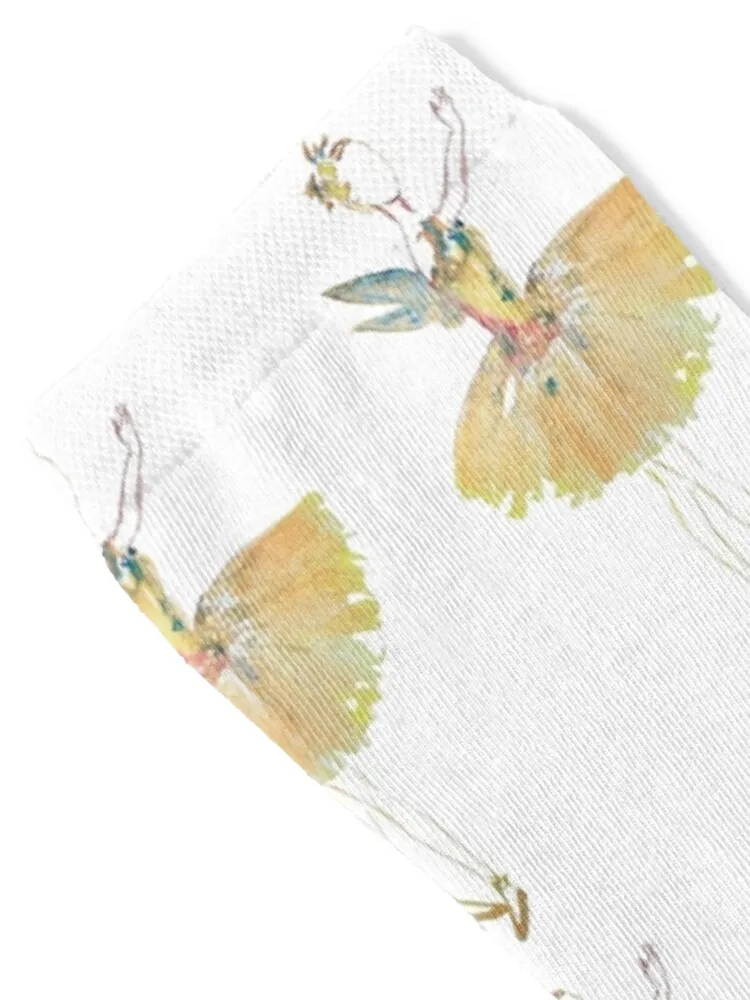 Waltz of the Flowers from the Nutcracker Socks Running japanese fashion Thermal man winter anime Boy Socks Women's