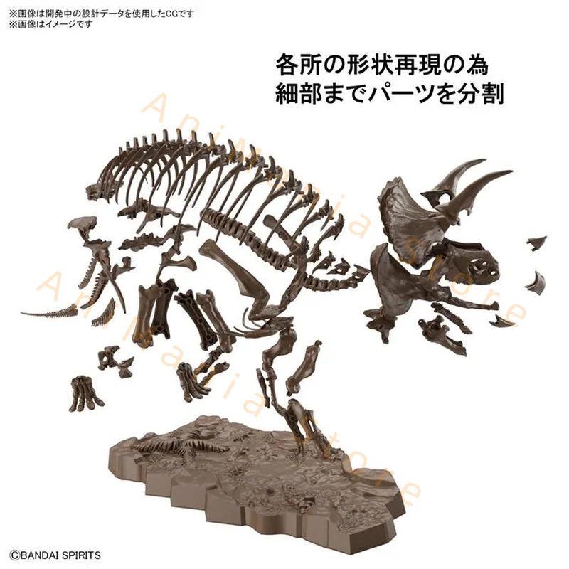 Bandai Original Tiere Action Figure 1/32 Imaginäres Skelett Triceratops Montage Modell Spielzeug Sammeln Modell Geschenke für Kinder