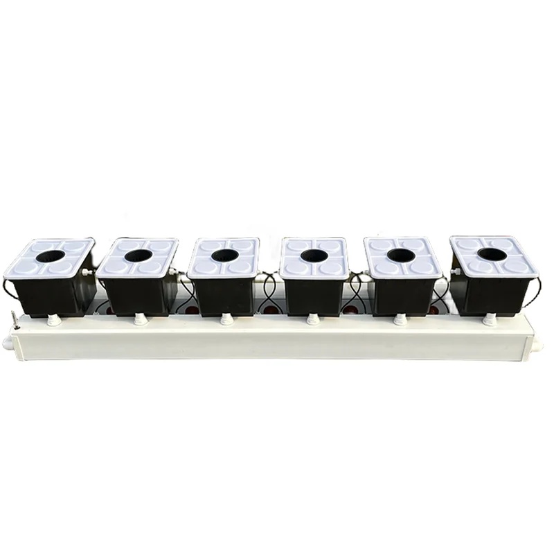 Dutch Bucket Hydroponic System, Soilless Cultivation Kit for Garden Greenhouse Farm - view 3